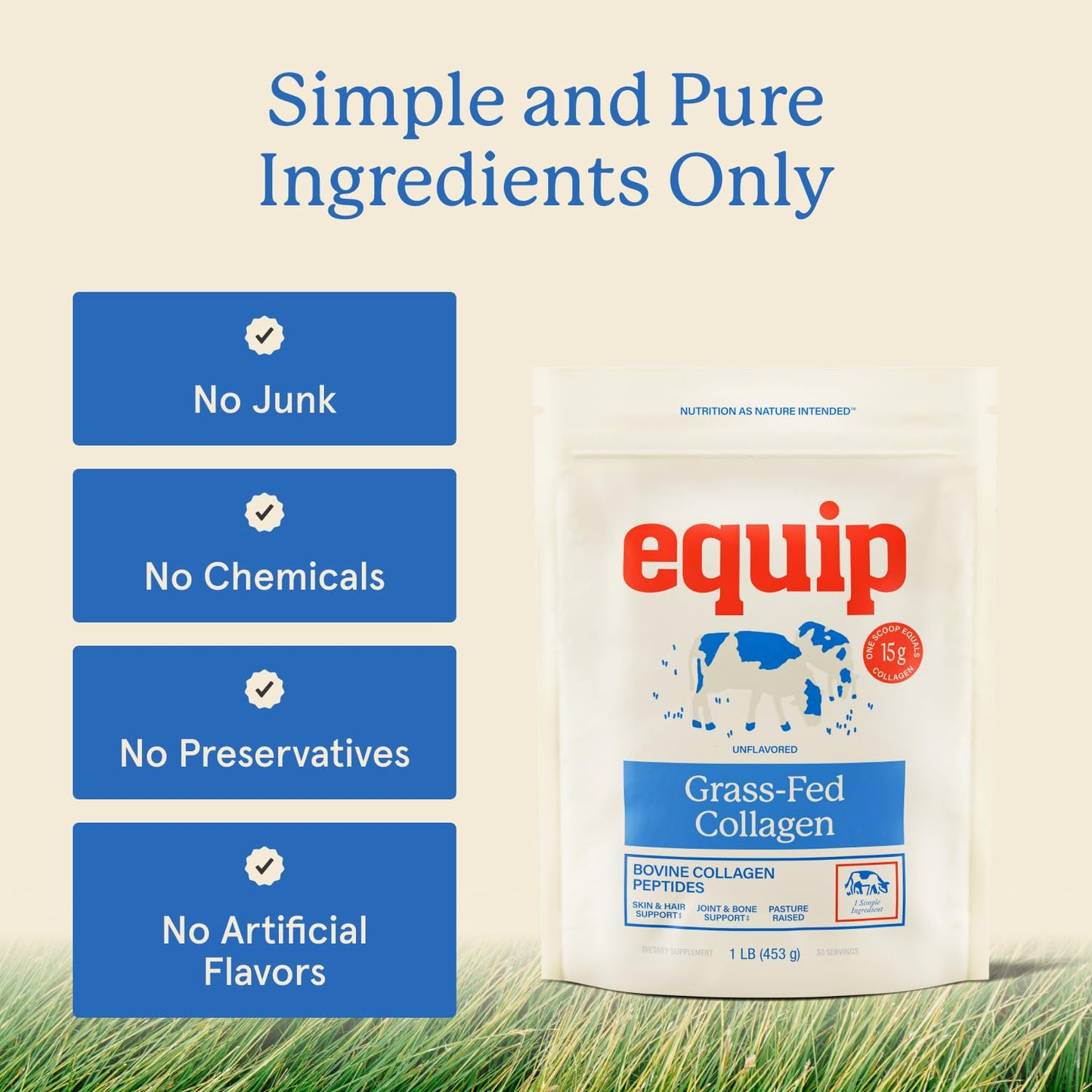 Equip Foods Grass Fed Collagen Powder | Hydrolyzed Bovine Collagen Peptides with Amino Acids | Prime Beef Collagen for Healthy Joints, Skin & Nails | Non-GMO, Paleo Friendly - dailyvitalstore