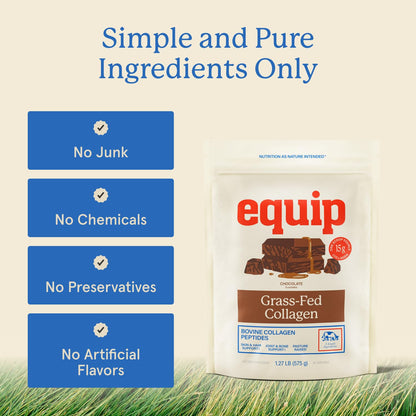 Equip Foods Grass Fed Collagen Powder | Hydrolyzed Bovine Collagen Peptides with Amino Acids | Prime Beef Collagen for Healthy Joints, Skin & Nails | Non-GMO, Paleo Friendly | 30 Servings, Chocolate - dailyvitalstore
