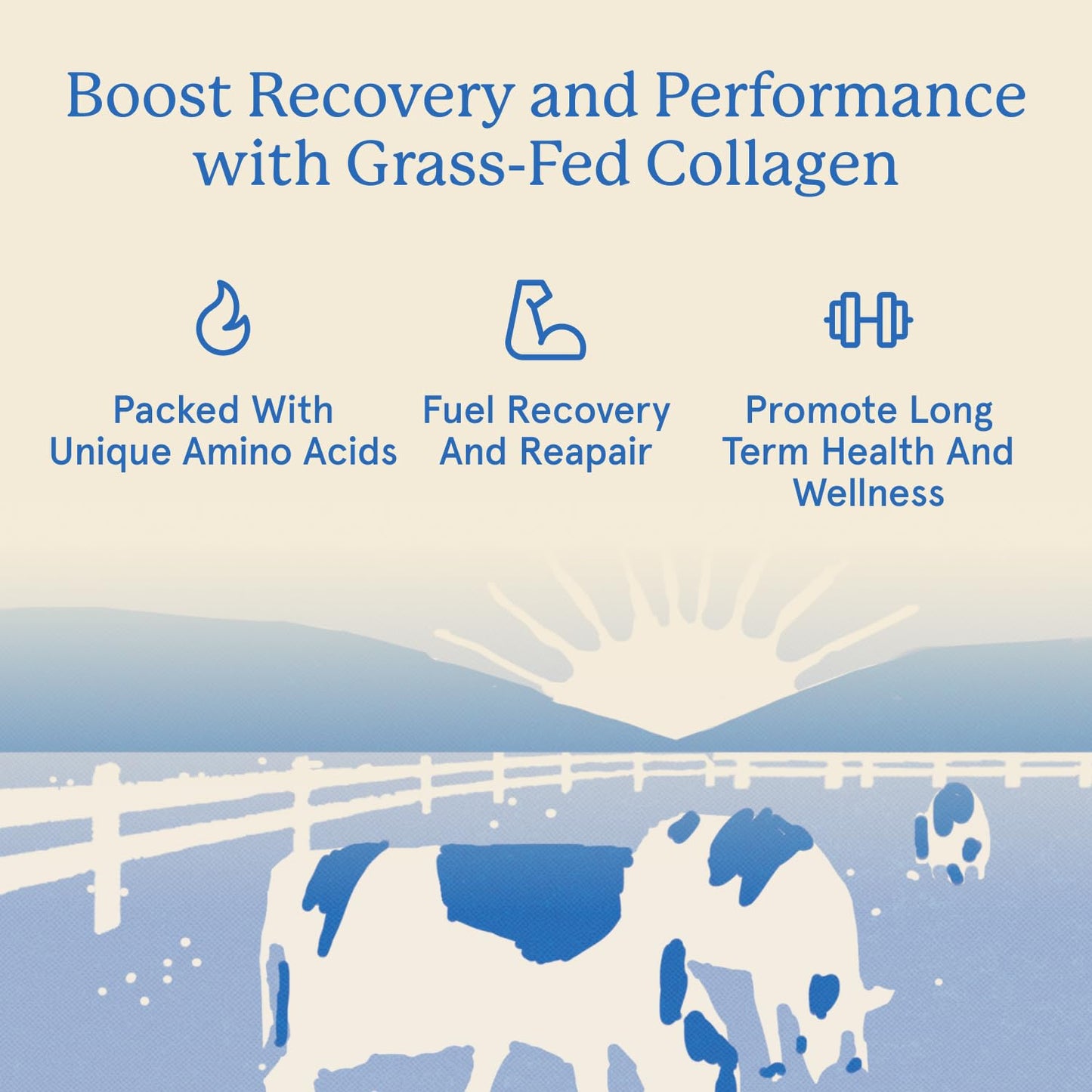 Equip Foods Grass Fed Collagen Powder | Hydrolyzed Bovine Collagen Peptides with Amino Acids | Prime Beef Collagen for Healthy Joints, Skin & Nails | Non-GMO, Paleo Friendly - dailyvitalstore