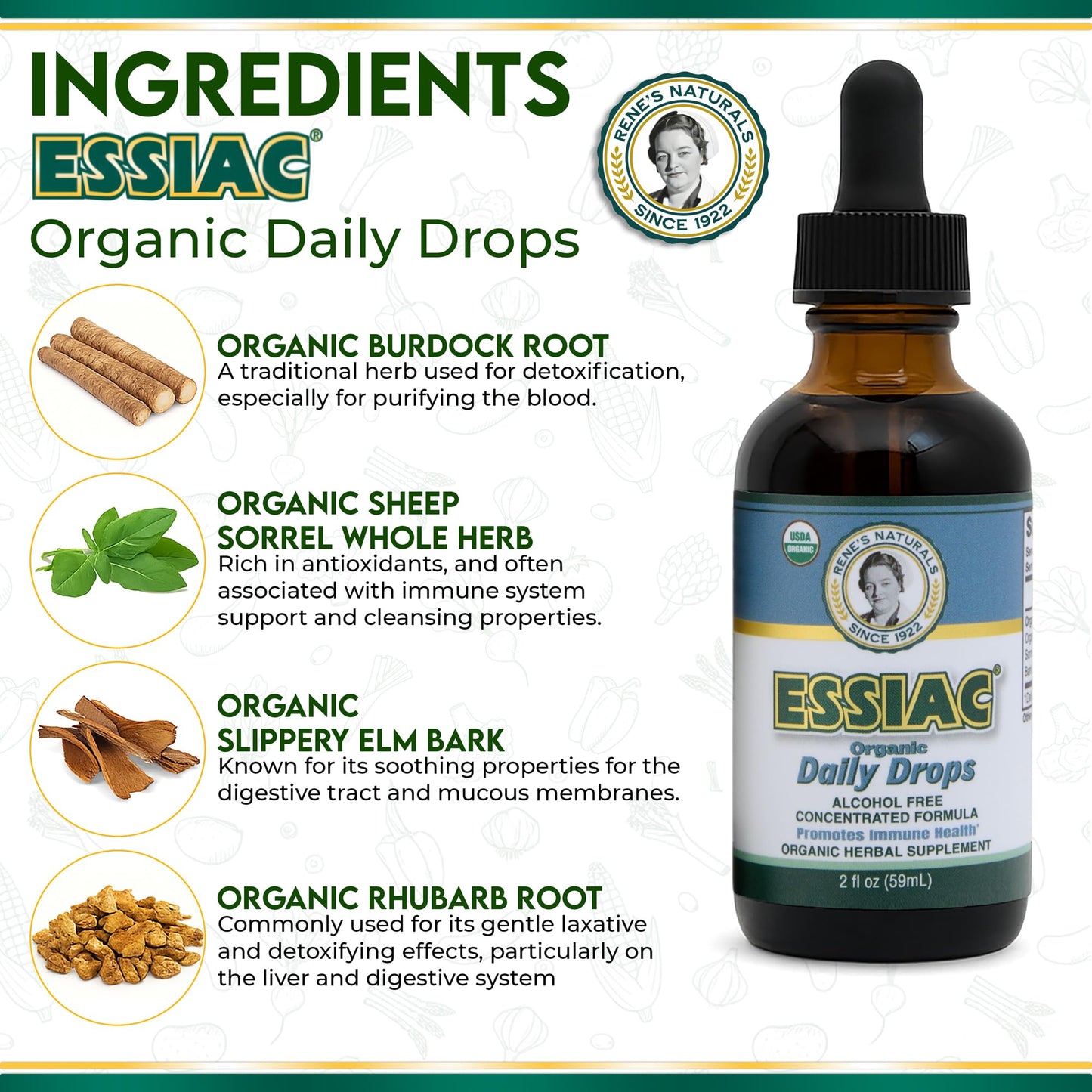 Essiac Original Tea USDA Organic Daily Drops for Enhanced Lymphatic Drainage and Immune Support | Alcohol Free Concentrated Formula | 2oz (59ml) - dailyvitalstore