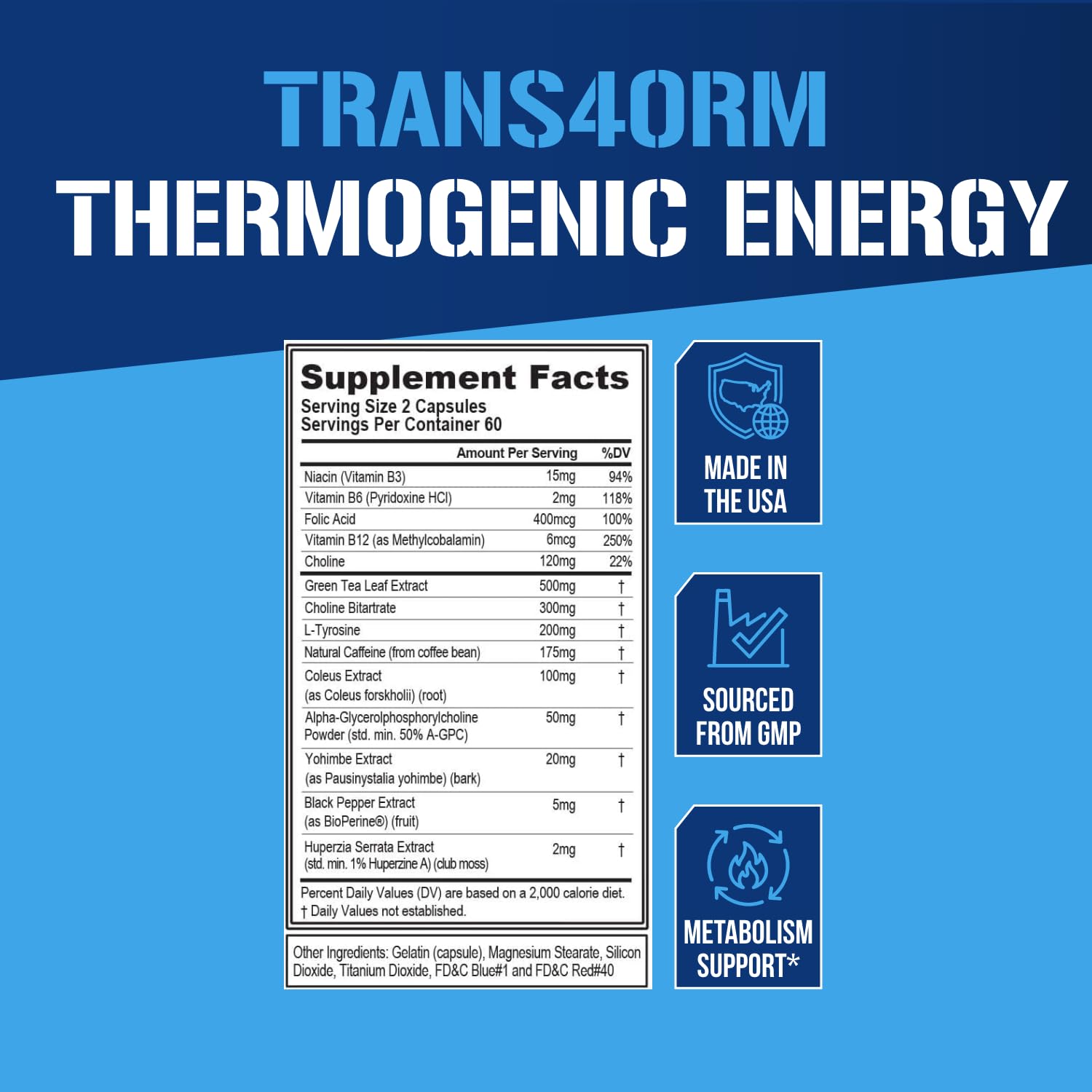 EVL Thermogenic Fat Burner Support - Fast Acting Weight Loss Energy and Appetite Support - Trans4orm Green Tea Supplement - dailyvitalstore
