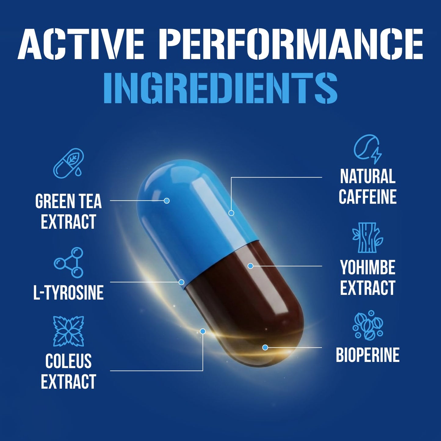 EVL Thermogenic Fat Burner Support - Fast Acting Weight Loss Energy and Appetite Support - Trans4orm Green Tea Supplement - dailyvitalstore