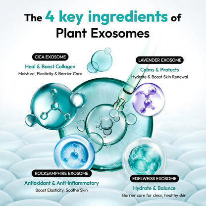 Exome Hydrating Toner, Greenery Aqua Base Starter for Glow Skin, Resveratrol Protective Barrier & 9-Peptide Complex for Elasticity & Wrinkle Care - dailyvitalstore