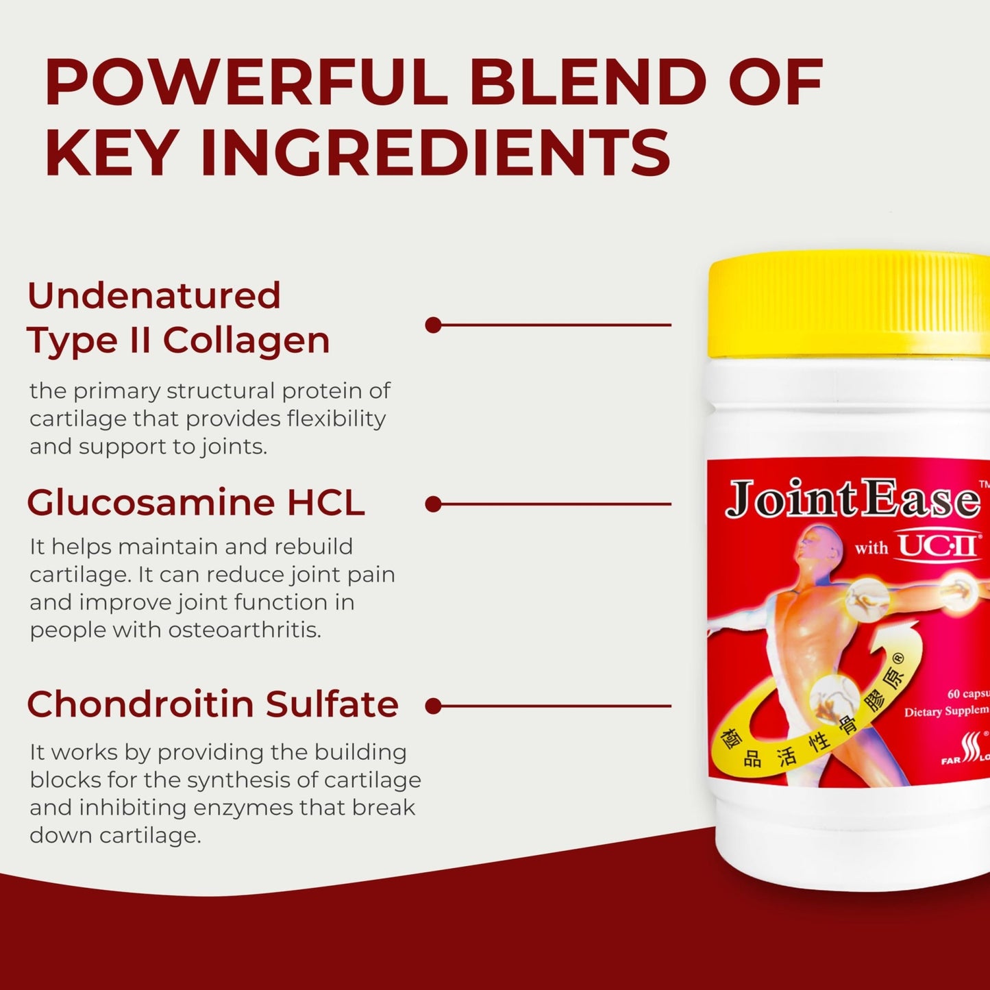 FARLONG JointEase with UC-II, Undenatured Type II Collagen, Glucosamine Hydrochloride, Chondroitin Sulfate, Joint Dietary Supplement | 60 Capsules - dailyvitalstore