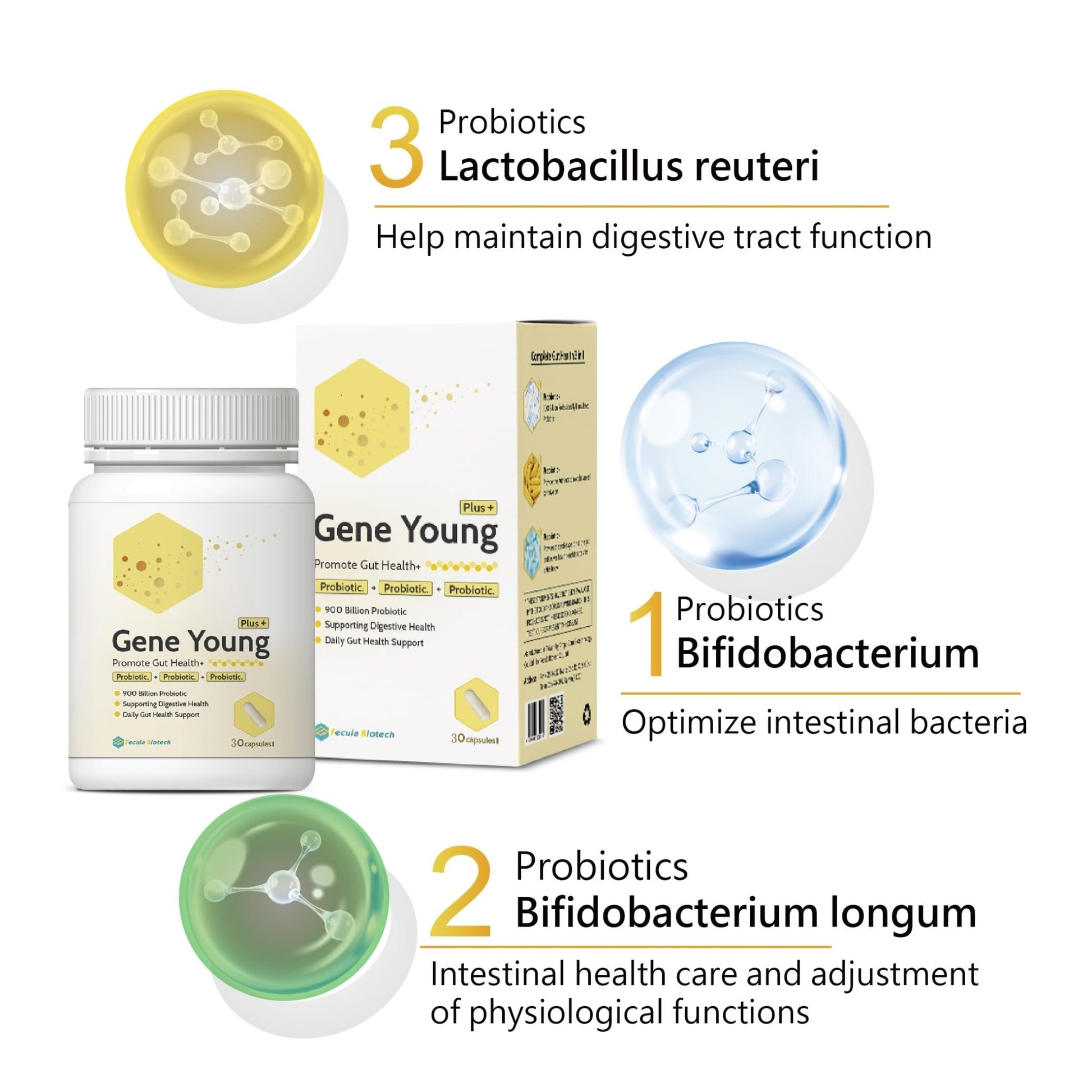 Fecula Biotech Synbiotic for Gut Health | 3-in-1 Daily Prebiotic, Probiotic, Postbiotic for Digestive Health, Bloat & Immune Support - dailyvitalstore