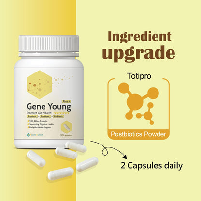 Fecula Biotech Synbiotic for Gut Health | 3-in-1 Daily Prebiotic, Probiotic, Postbiotic for Digestive Health, Bloat & Immune Support - dailyvitalstore