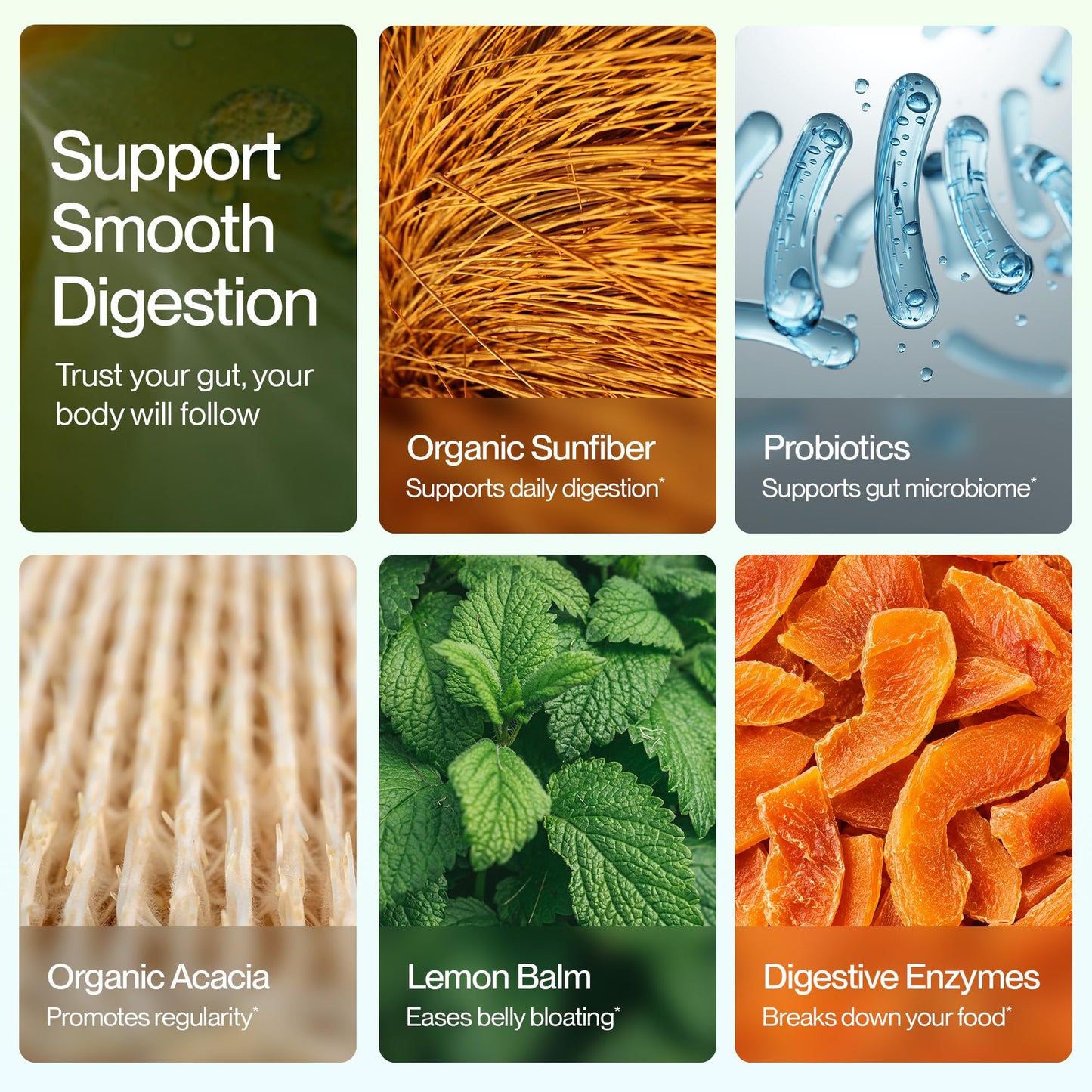 Feel Goods Digestion+, Gut Health, Organic Fiber & Probiotic Drink Mix, Digestive Enzymes for Bloating Relief, Gut Cleanse - dailyvitalstore