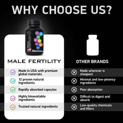 Fertility Supplements for Men - Zinc, Maca, Ashwagandha, L-Arginine - Male Vitality Conception for Him - Count and Motility Pregnancy Aid - Vitamins and Male Fertility Support Supplement - 120 Pills - dailyvitalstore