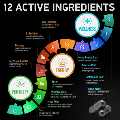 Fertility Supplements for Men - Zinc, Maca, Ashwagandha, L-Arginine - Male Vitality Conception for Him - Count and Motility Pregnancy Aid - Vitamins and Male Fertility Support Supplement - 120 Pills - dailyvitalstore