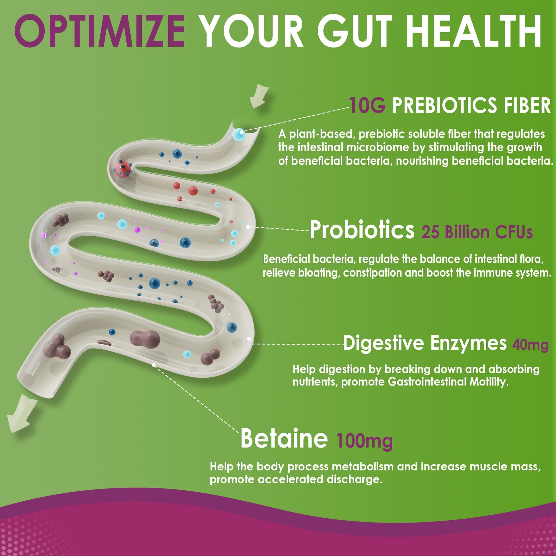 Fiber Gummies for Adults, Sugar Free 10g Prebiotic Fiber Supplement with Digestive Enzymes, Probiotics & 100mg Betaine for Digestive & Gut Health - dailyvitalstore