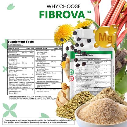 Fiber Supplement Capsules Slippery Elm Psyllium Husk Cascara Sagrada Dandelion Root Turmeric Supplement Aloe Vera Licorice Senna Marshmallow Root Digestive Health Cleanse 90 Pills by Clean Nutra - dailyvitalstore