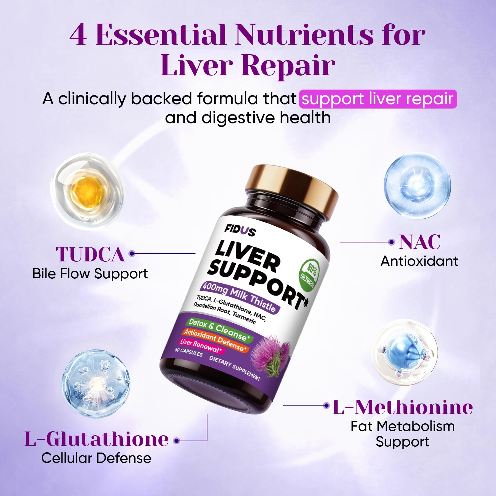 Fidus Milk Thistle Liver Liver Cleanse Detox & Detox Capsules - 400mg Silymarin with TUDCA, NAC, Turmeric & Dandelion Root for Liver Support - 60 Capsules - dailyvitalstore