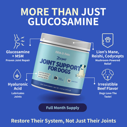 Fifth & Fido Joint Supplement for Dogs - Glucosamine for Dogs - Pet Vitamins and Supplements Powder with Chondroitin & MSM - Hip & Joint Support for Mobility, Stiffness & Flexibility - Mushroom Blend - dailyvitalstore