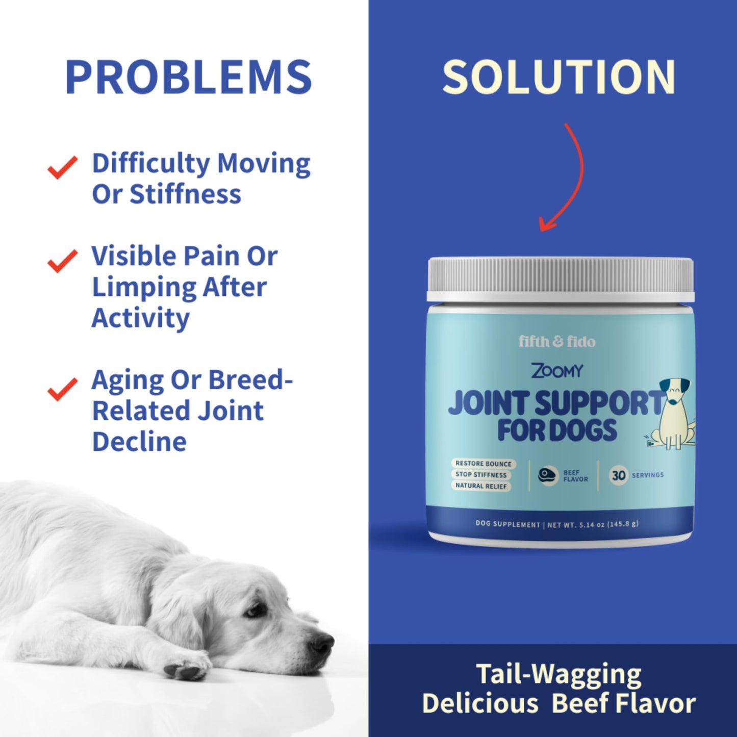 Fifth & Fido Joint Supplement for Dogs - Glucosamine for Dogs - Pet Vitamins and Supplements Powder with Chondroitin & MSM - Hip & Joint Support for Mobility, Stiffness & Flexibility - Mushroom Blend - dailyvitalstore
