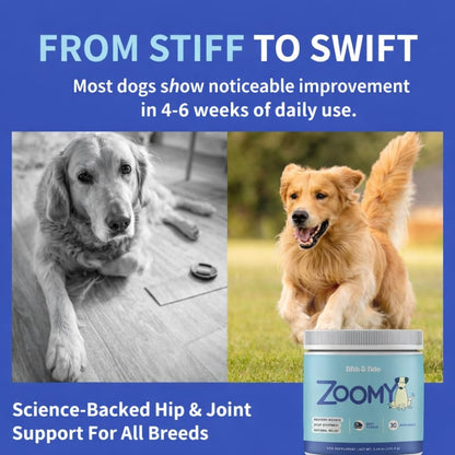 Fifth & Fido Joint Supplement for Dogs - Glucosamine for Dogs - Pet Vitamins and Supplements Powder with Chondroitin & MSM - Hip & Joint Support for Mobility, Stiffness & Flexibility - Mushroom Blend - dailyvitalstore