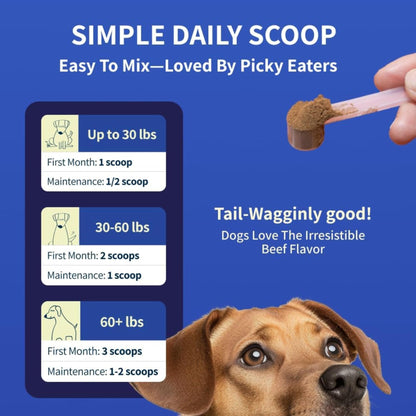 Fifth & Fido Joint Supplement for Dogs - Glucosamine for Dogs - Pet Vitamins and Supplements Powder with Chondroitin & MSM - Hip & Joint Support for Mobility, Stiffness & Flexibility - Mushroom Blend - dailyvitalstore