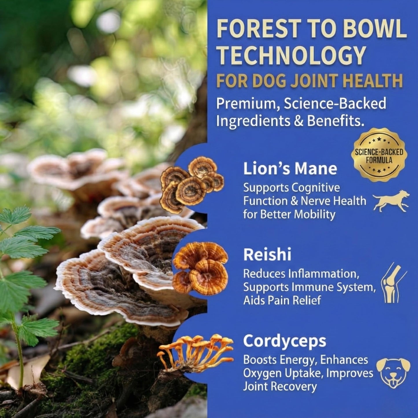 Fifth & Fido Joint Supplement for Dogs - Glucosamine for Dogs - Pet Vitamins and Supplements Powder with Chondroitin & MSM - Hip & Joint Support for Mobility, Stiffness & Flexibility - Mushroom Blend - dailyvitalstore