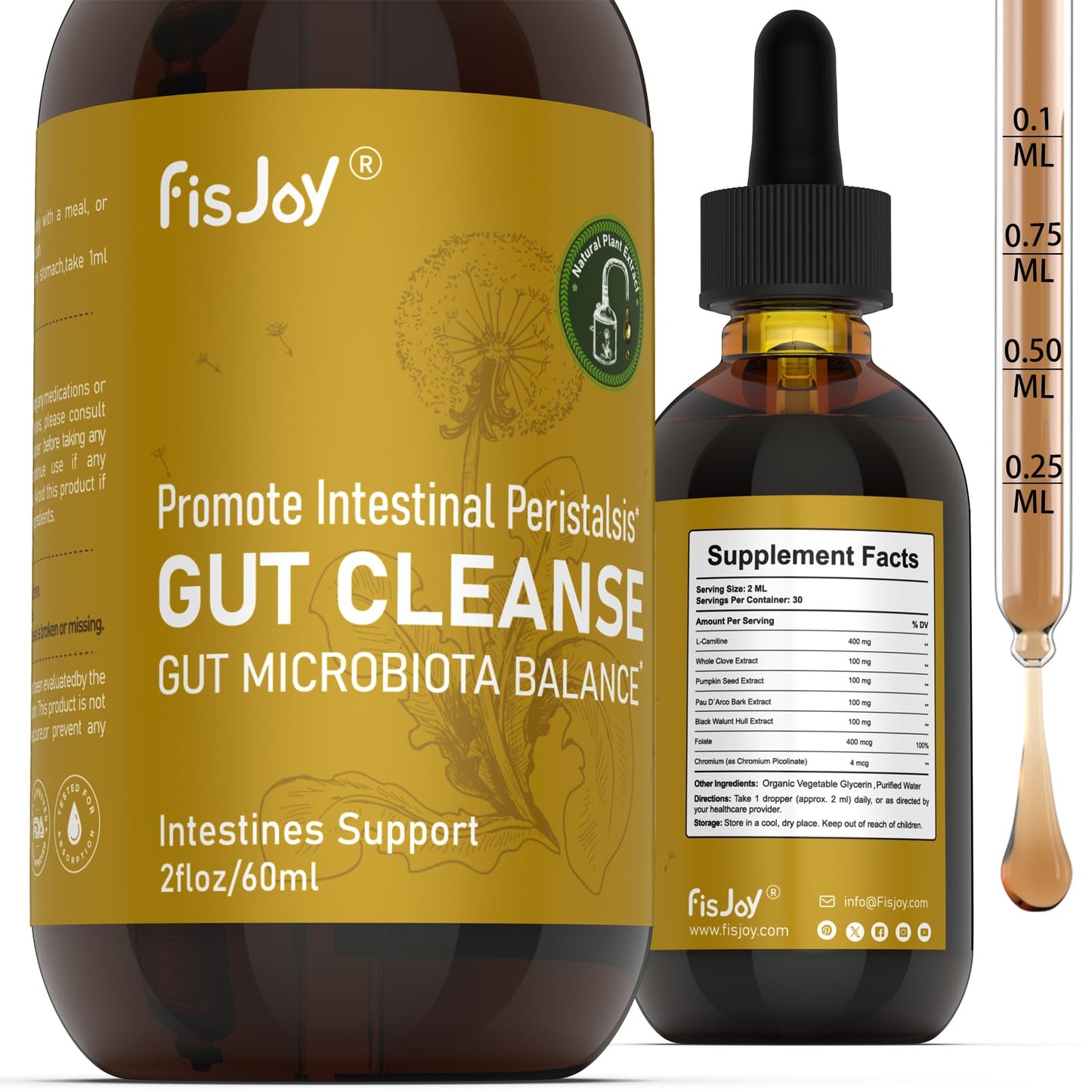Fisjoy L-Carnitine & Herbal Liquid Drops – Gentle Daily Digestive Support with Pumpkin Seed, Clove & PAU D’Arco Extracts, Folate & Chromium, Vegan, Sugar-Free, 2 fl oz (60 mL) - dailyvitalstore