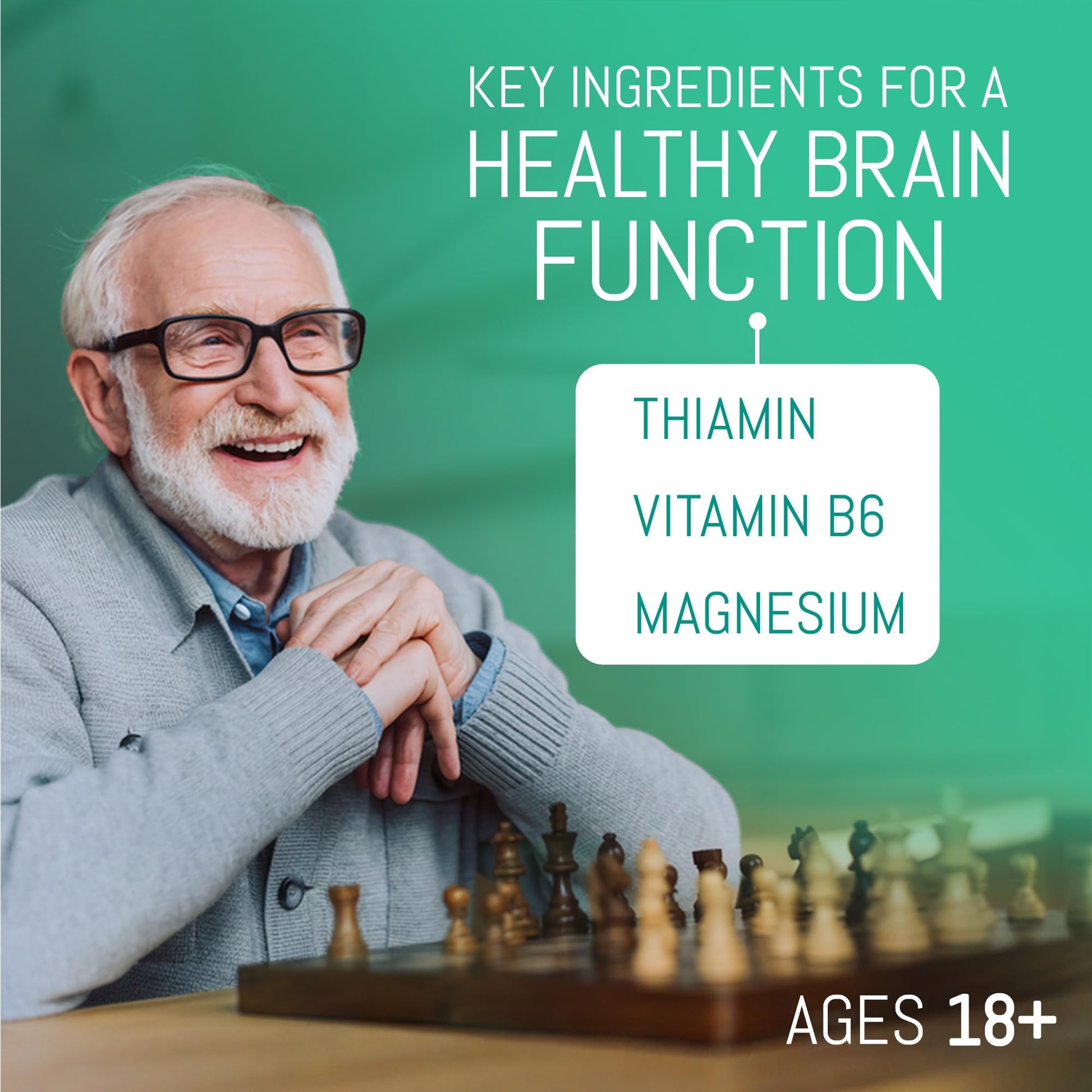 Fitina Brain Supplements for Memory and Focus with Vitamin B6 & Thiamine | High-Dose B Vitamins Nervous System and Cognitive Health Support, Daily Supplement Formula for Adults, 60 Tablets (2-Pack) - dailyvitalstore