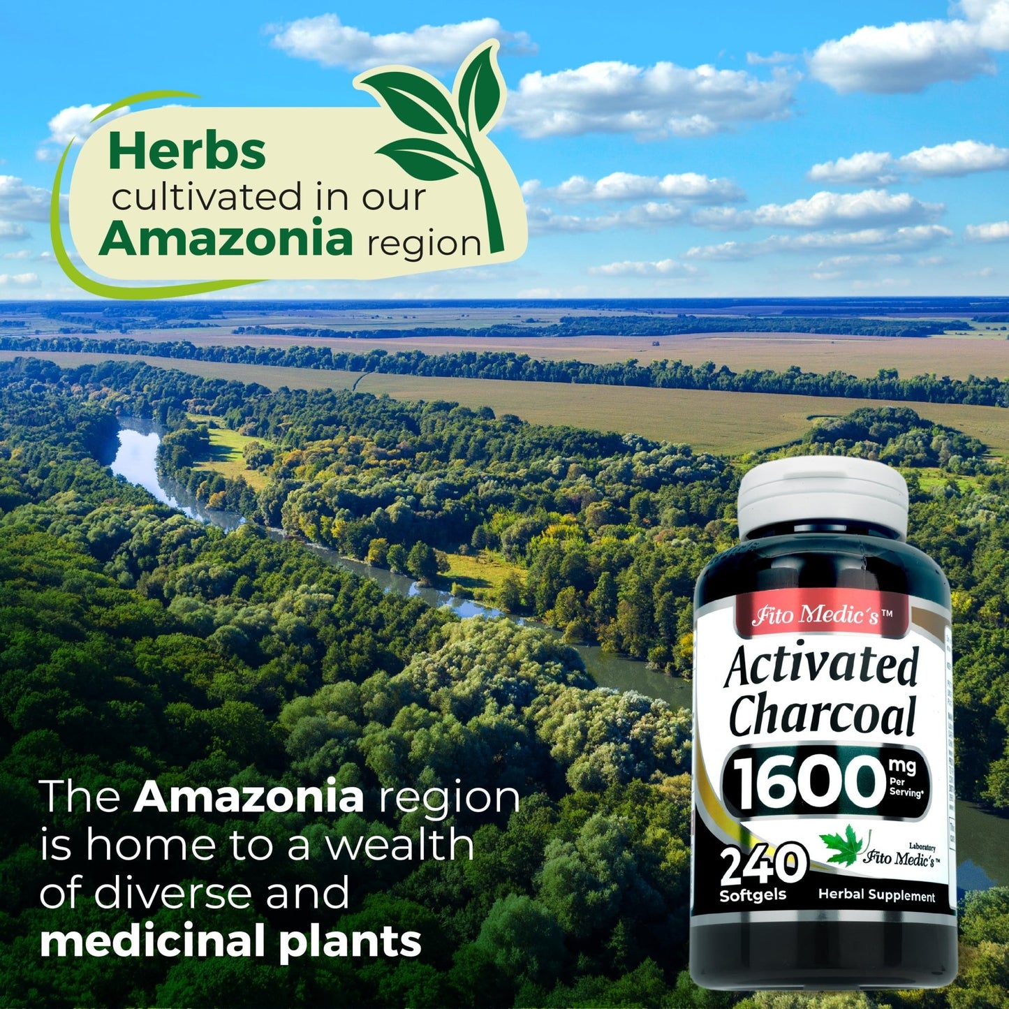 FITO MEDIC'S Lab | Activated Charcoal | 240 caps | Activated Charcoal Pills - dailyvitalstore