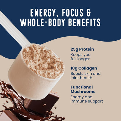 FlavCity Chocolate All in One Protein Shake Powder - On the Go Meal Alternative + Collagen Peptides, Reishi & Cordyceps - Focus, Skin, Hair & Joint Support - dailyvitalstore