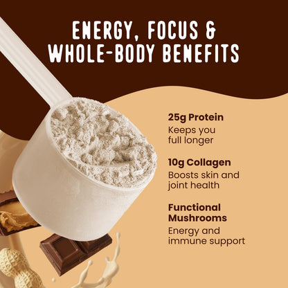 FlavCity Grass Fed Whey Chocolate Protein Powder - Chocolate Peanut Butter - 25g Protein & 10g Collagen - Made with Organic Cocoa & Coconut Milk - Gluten Free & No Added Sugars (20 Servings) - dailyvitalstore