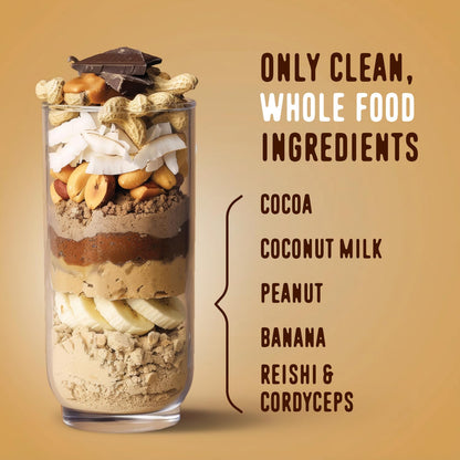 FlavCity Grass Fed Whey Chocolate Protein Powder - Chocolate Peanut Butter - 25g Protein & 10g Collagen - Made with Organic Cocoa & Coconut Milk - Gluten Free & No Added Sugars (20 Servings) - dailyvitalstore