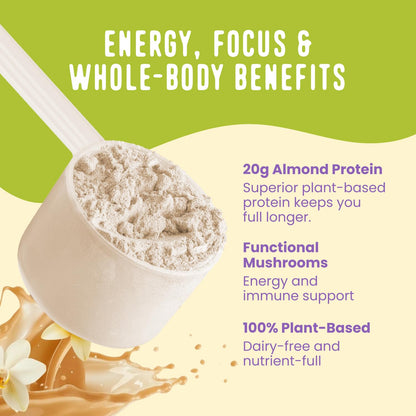 FlavCity Vegan Almond Protein Shake Powder, Vanilla Cream + Reishi & Cordyceps Mushrooms - Focus, Skin, Hair & Joint Support - Organic Fruit All in One Smoothie On-the-Go, 20 Servings - dailyvitalstore
