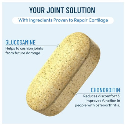 FLEXOPLEX Advanced Bone & Joint Support Supplement | Promotes Healthy Joint Function & Relief from Joint Discomfort | Enhance Cartilage Flexibility & Range of Motion - 120 Count (Pack of 1) - dailyvitalstore