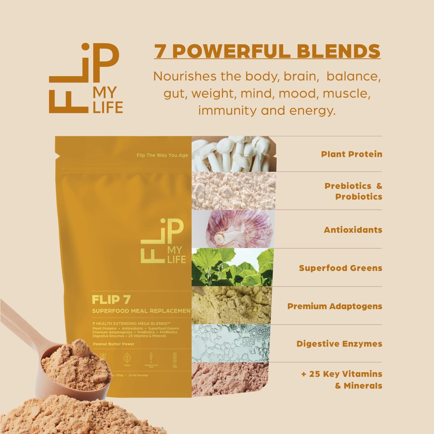 Flip My Life, Flip 7 Natural SuperFood, Plant-Based Protein, Complete Meal Replacement to Support Healthy Gut, 7 Mega Nutrient Rich Blends all in one to AGE BETTER - Peanut Butter - dailyvitalstore