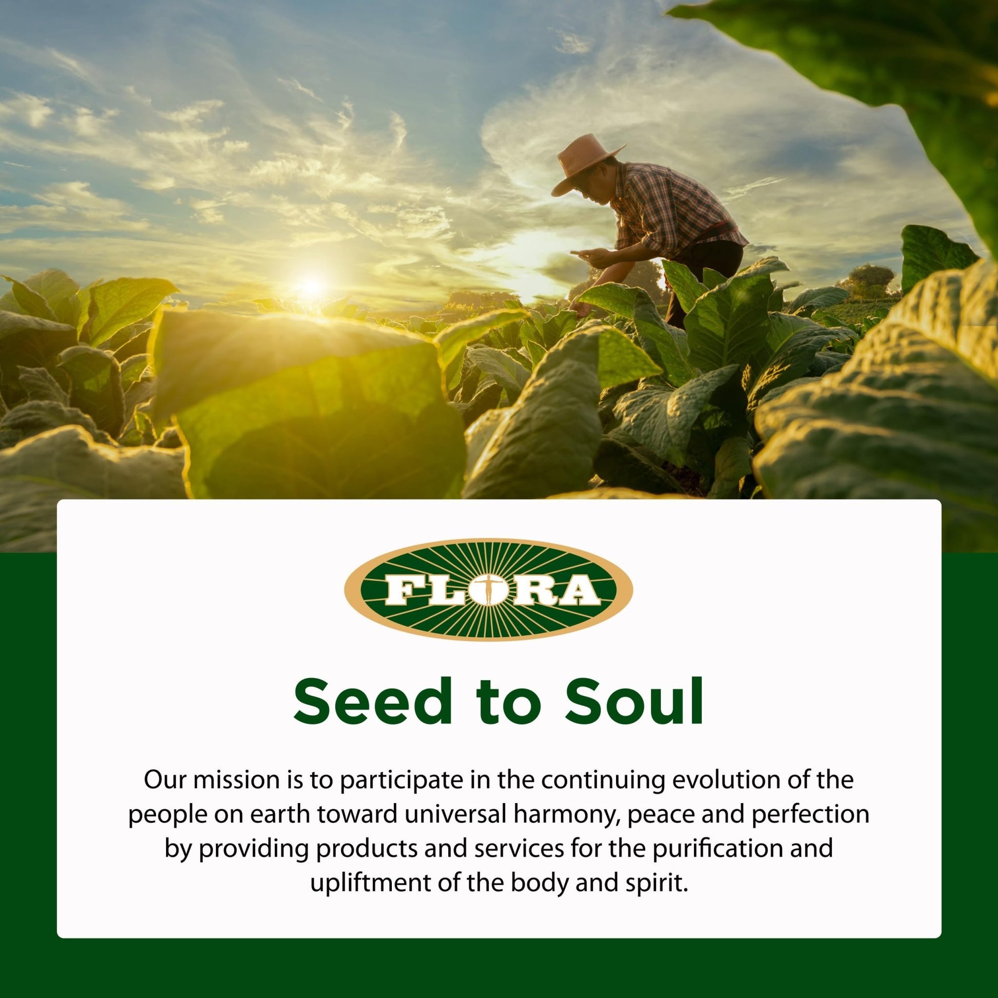Flora - Udo's Choice Omega 369 Oil Blend, Made with Organic Flax, Sesame & Sunflower Seed Oils, Plant-Based Vegan Omega Fatty Acids, Based on Ideal 2:1:1 Ratio, 17-fl, oz. Glass Bottle - dailyvitalstore