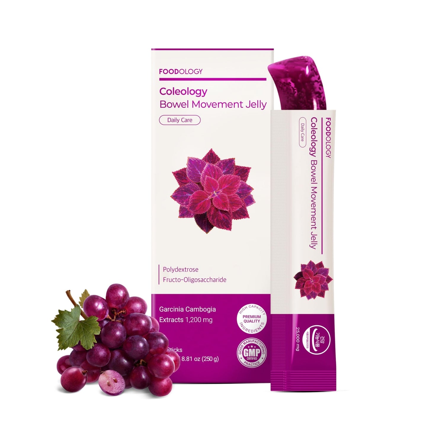 FOODOLOGY Coleology Bowel Movement Jelly (Grape & Prune) – Prebiotic Fiber Supplement for Gut Health & Daily Regularity, Chia Seeds, Korean Supplement – 10 Sticks - dailyvitalstore