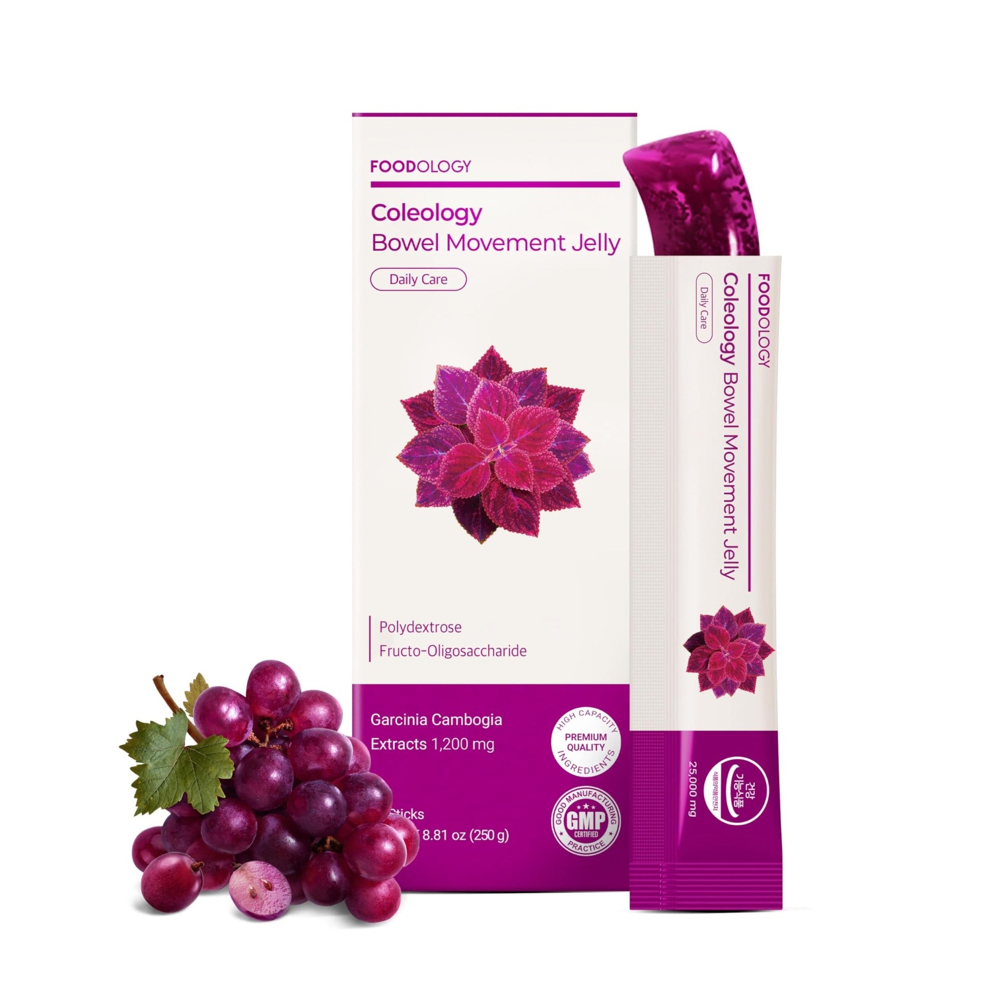 FOODOLOGY Coleology Bowel Movement Jelly (Grape & Prune) – Prebiotic Fiber Supplement for Gut Health & Daily Regularity, Chia Seeds, Korean Supplement – 10 Sticks - dailyvitalstore
