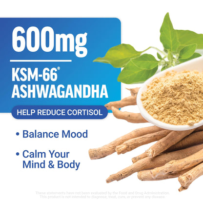 Force Factor Amazing Ashwa Complete Calm Support with KSM-66 Ashwagandha, Like Ashwangandha Gummies to Promote Calm & Relaxation with Magnesium & L-Theanine, - dailyvitalstore