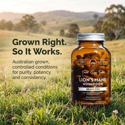 Forest Super Foods Lions Mane Supplement Capsules (120 Capsules) Organic Lions Mane Mushroom | Memory Lift Brain Supplement for Focus and Productivity. Lion Mane, Grown & Made in Australia - dailyvitalstore