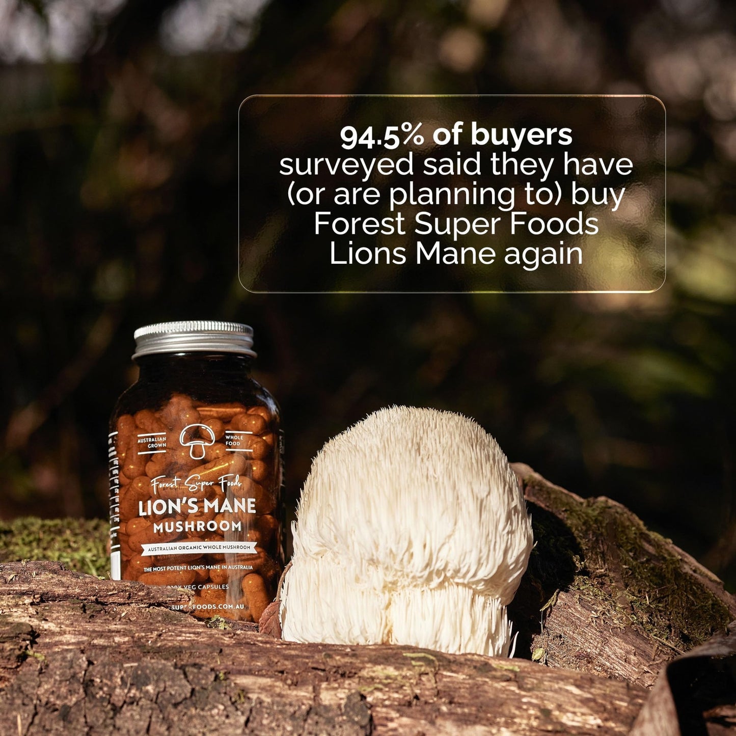Forest Super Foods Lions Mane Supplement Capsules (120 Capsules) Organic Lions Mane Mushroom | Memory Lift Brain Supplement for Focus and Productivity. Lion Mane, Grown & Made in Australia - dailyvitalstore