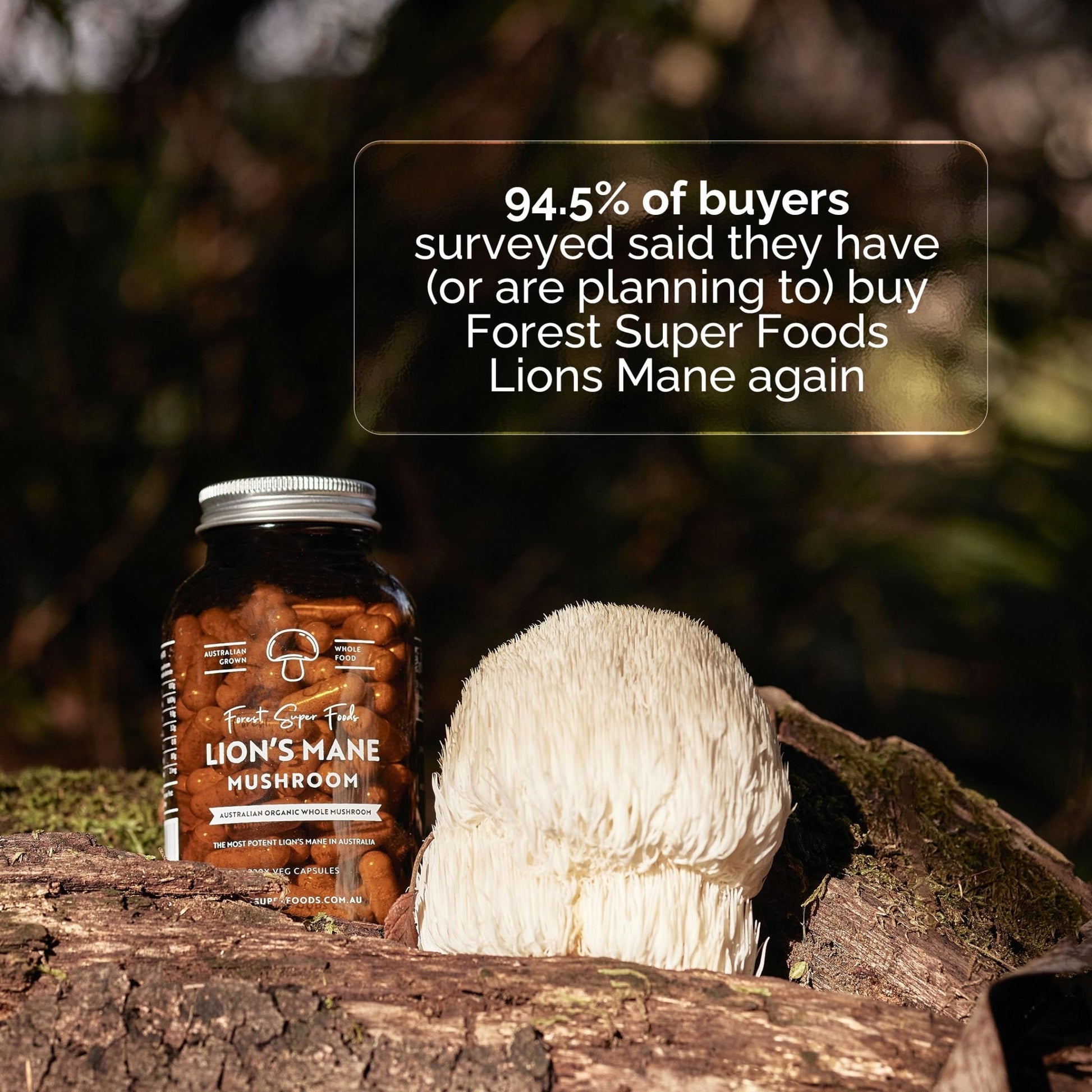 Forest Super Foods Lions Mane Supplement Capsules (120 Capsules) Organic Lions Mane Mushroom | Memory Lift Brain Supplement for Focus and Productivity. Lion Mane, Grown & Made in Australia - dailyvitalstore