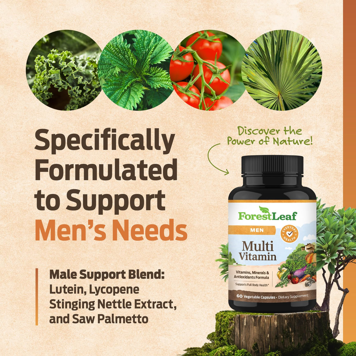 ForestLeaf Daily Vitamin Multivitamin for Men, Multi-Vitamin for Men - Mens Multivitamins & Multiminerals Supplement | All Essential Vitamins Needed for Health, Longevity & Energy | 60 Veg Caps - dailyvitalstore