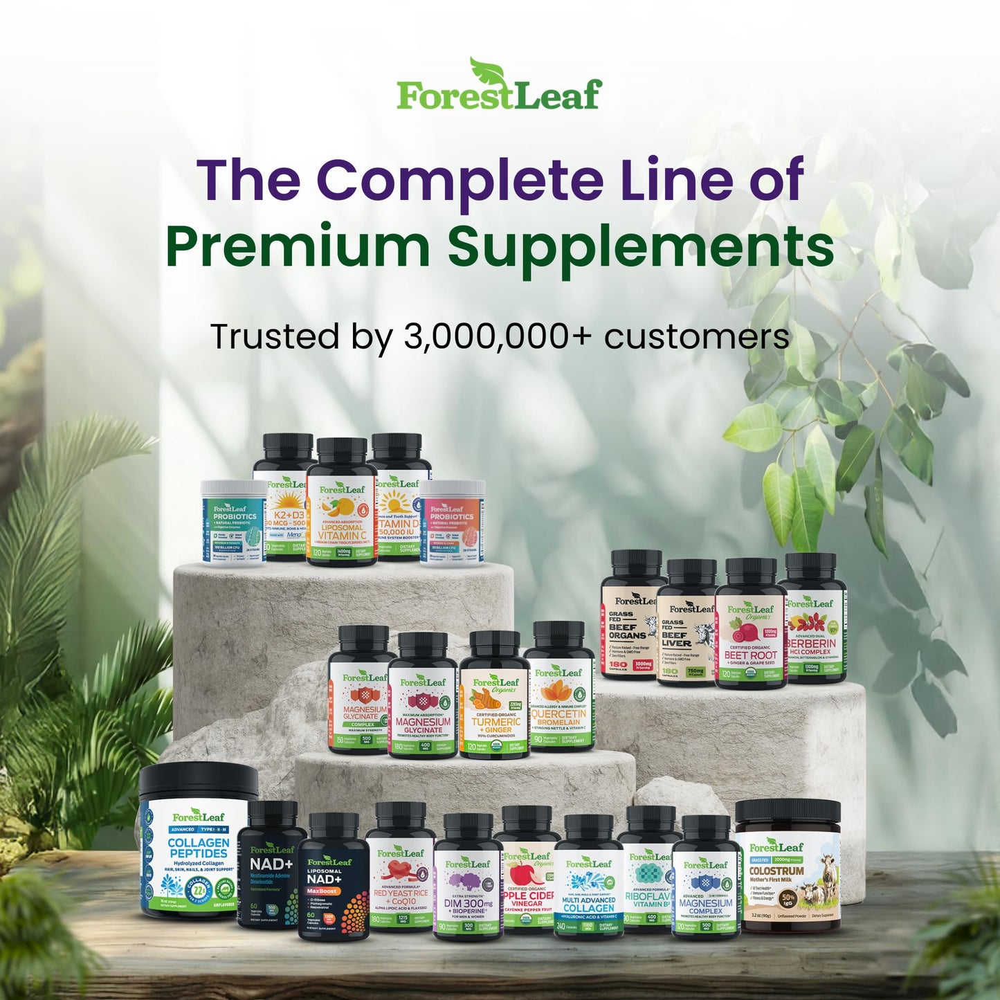 ForestLeaf Glucosamine Chondroitin MSM Joint Supplement Complex - 1200mg - 120 Caps - dailyvitalstore