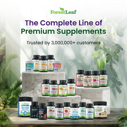 ForestLeaf Glucosamine Chondroitin MSM Joint Supplement Complex - 1200mg - 120 Caps - dailyvitalstore