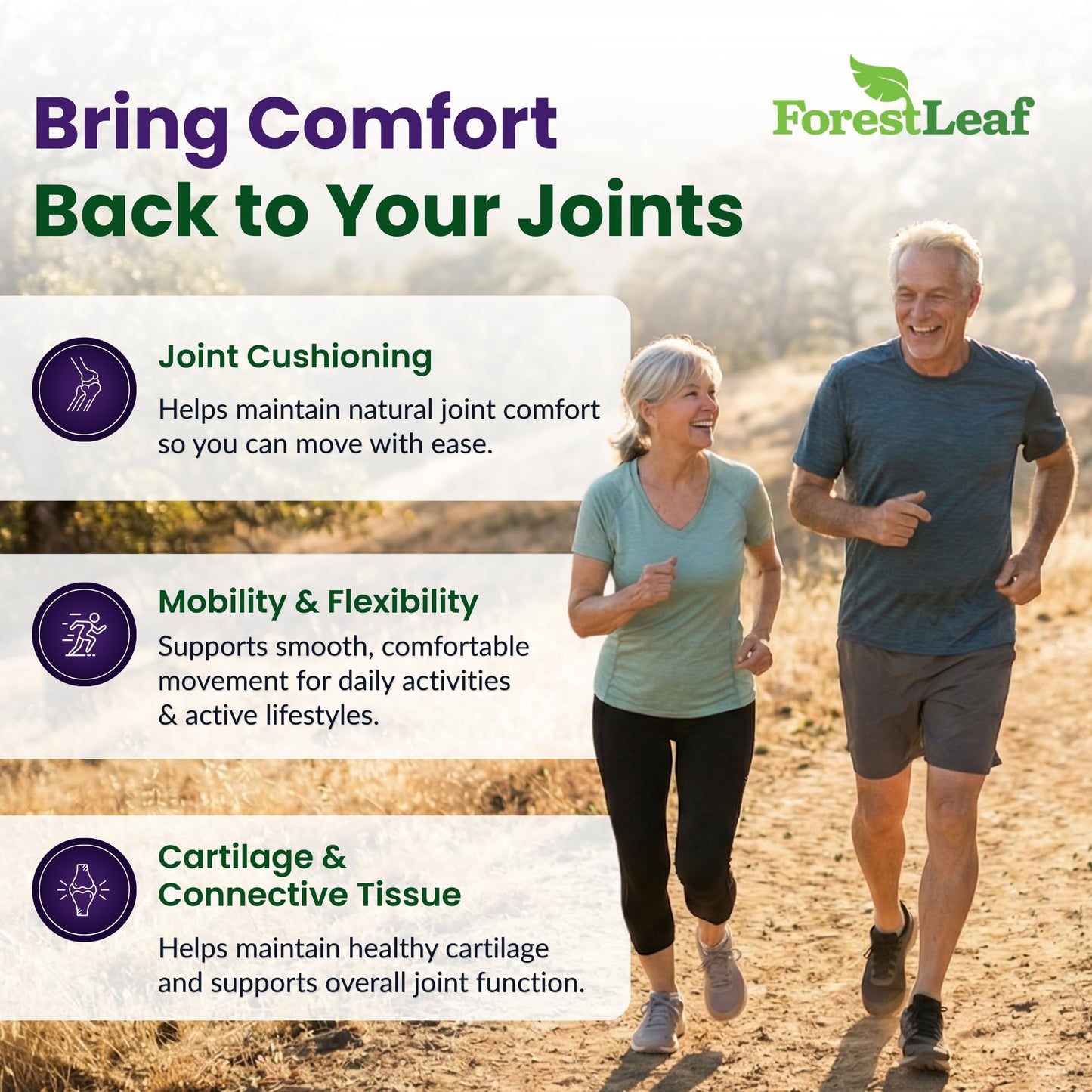 ForestLeaf Glucosamine Chondroitin MSM Joint Supplement Complex - 1200mg - 120 Caps - dailyvitalstore