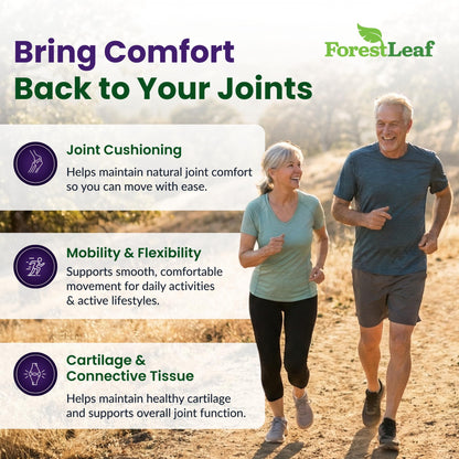 ForestLeaf Glucosamine Chondroitin MSM Joint Supplement Complex - 1200mg - 120 Caps - dailyvitalstore