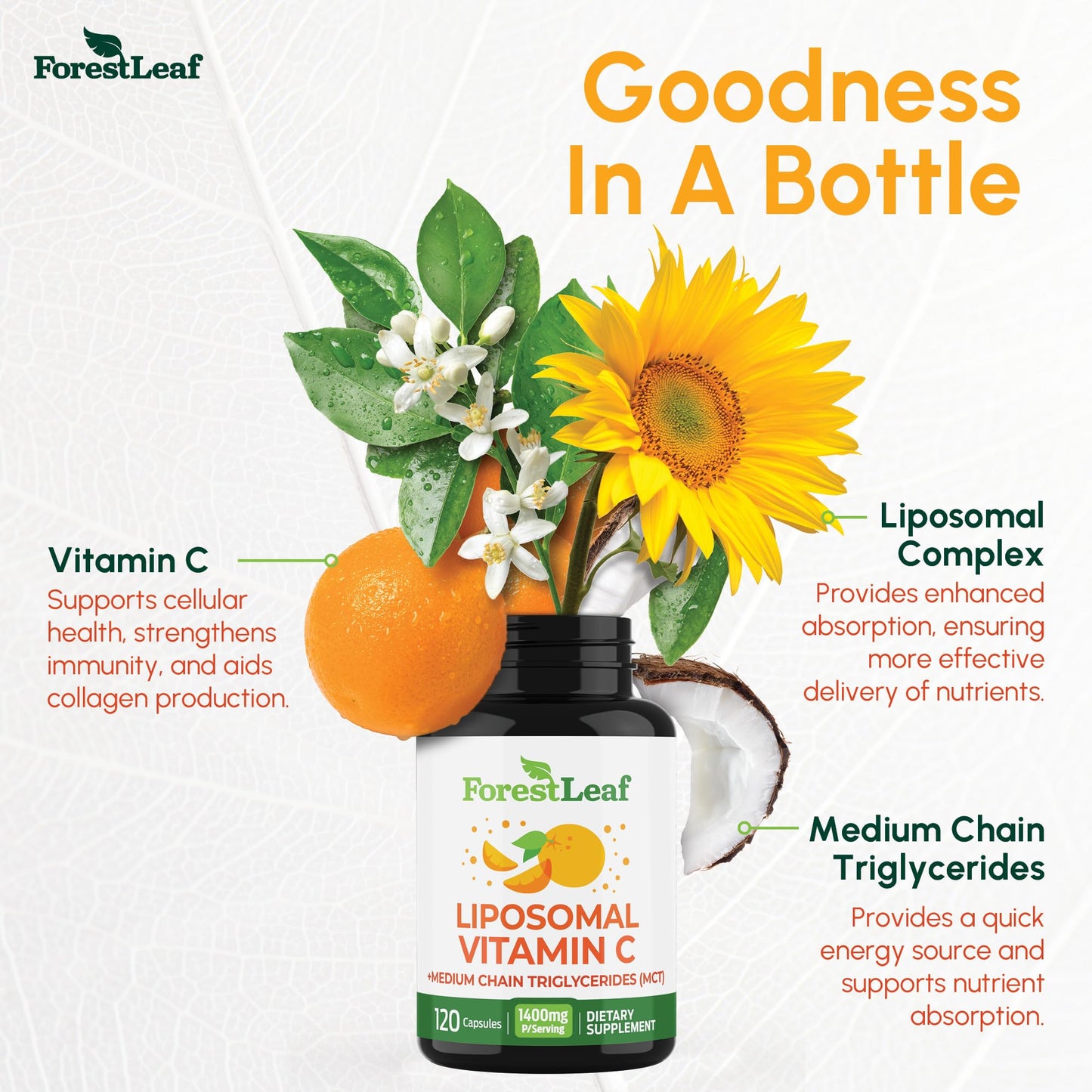 ForestLeaf Liposomal Vitamin C 1400mg Capsules | High Dose Vitamin C Liposomal Supplement w Coconut Oil Fatty Acids | Fast Absorption | Immune Support, - dailyvitalstore