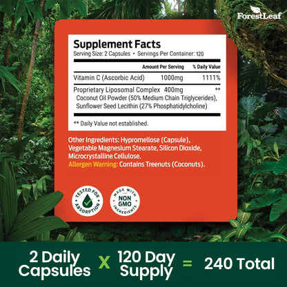 ForestLeaf Liposomal Vitamin C 1400mg Capsules | High Dose Vitamin C Liposomal Supplement w Coconut Oil Fatty Acids | Fast Absorption | Immune Support, Antioxidant, - dailyvitalstore