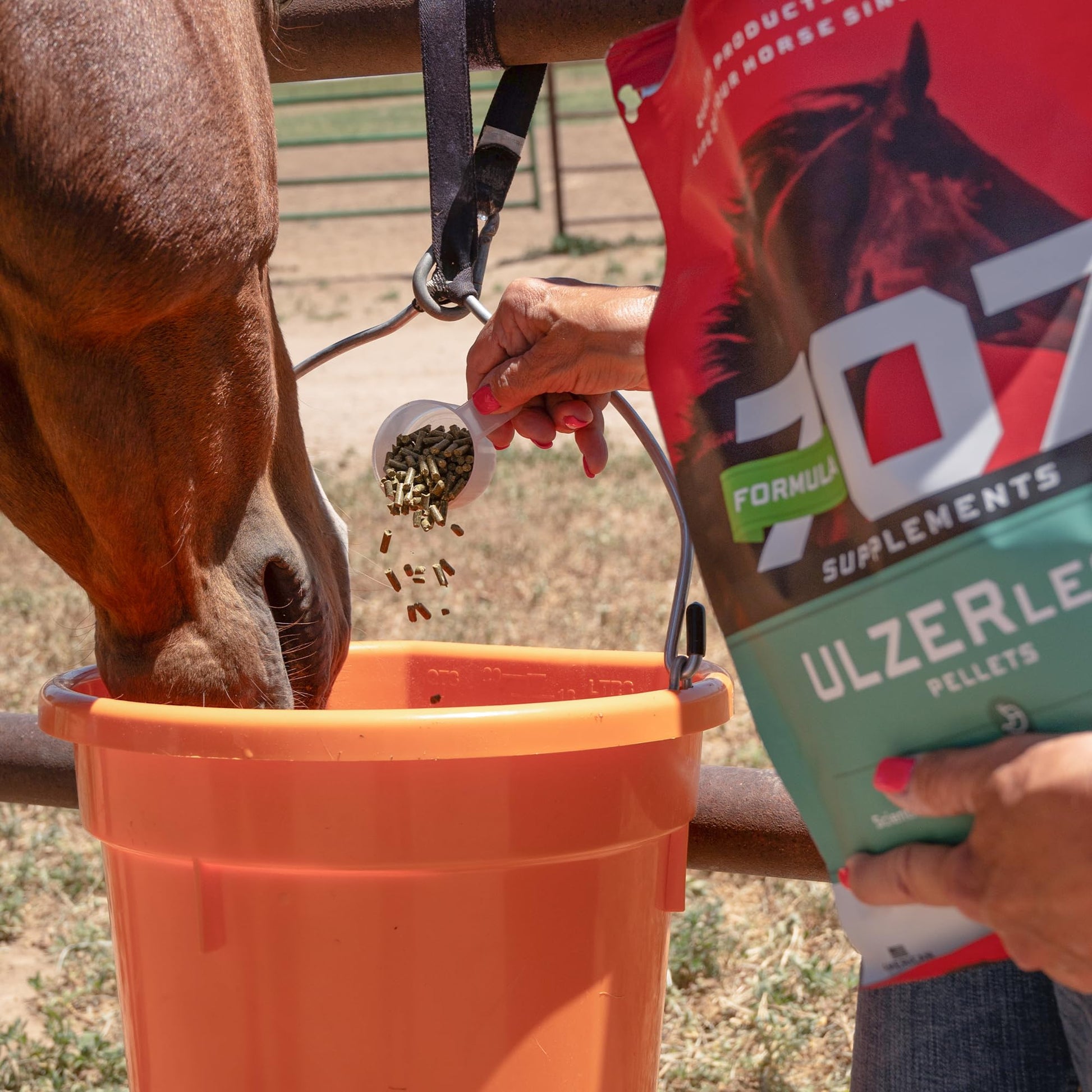 Formula 707 ULZERless Equine Supplement, 7.5lb Bag - Natural Gut Support for Horses with Ulcer Risk Factors - dailyvitalstore