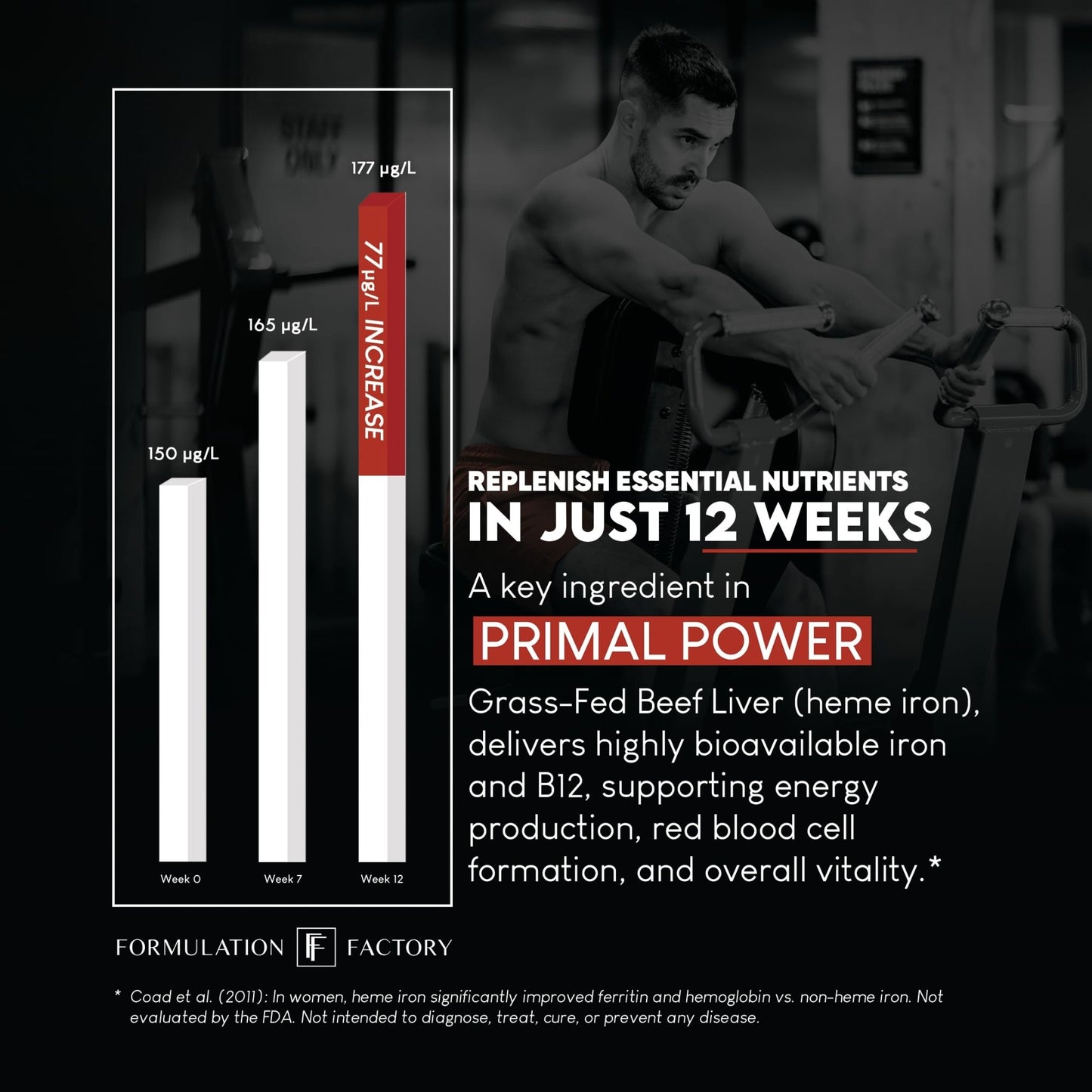 Formulation Factory Primal Power 10-in-1 Grass-Fed Organ Supplement with Beef Liver, Heart, Marrow, Testicle, Kidney, Supports Vitality, Hormones, Energy, Immunity (4 Month Supply, 240 Capsules) - dailyvitalstore