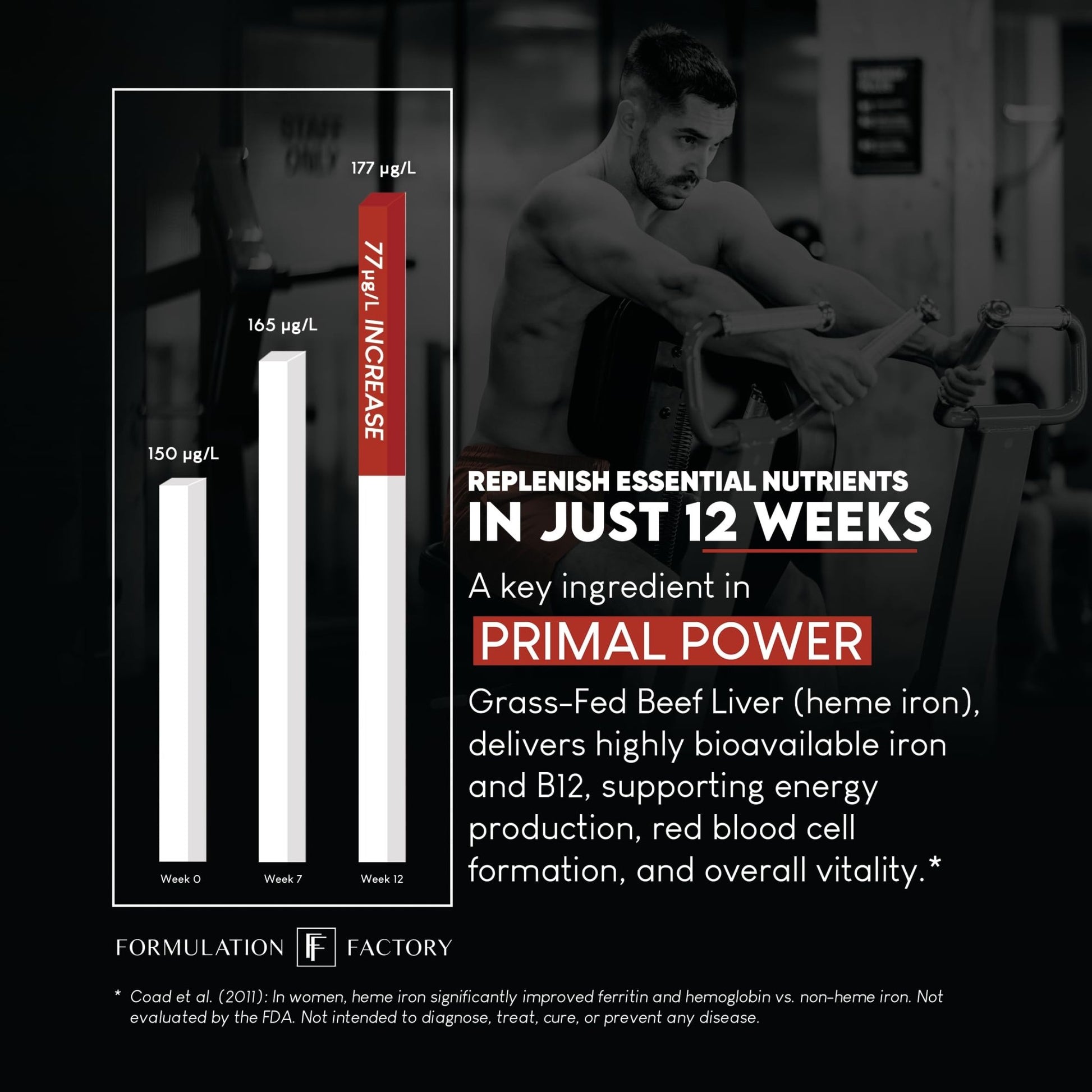 Formulation Factory Primal Power 10-in-1 Grass-Fed Organ Supplement with Beef Liver, Heart, Marrow, Testicle, Kidney, Supports Vitality, Hormones, Energy, Immunity (4 Month Supply, 240 Capsules) - dailyvitalstore