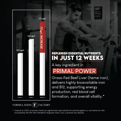 Formulation Factory Primal Power 10-in-1 Grass-Fed Organ Supplement with Beef Liver, Heart, Marrow, Testicle, Kidney, Supports Vitality, Hormones, Energy, Immunity (4 Month Supply, 240 Capsules) - dailyvitalstore