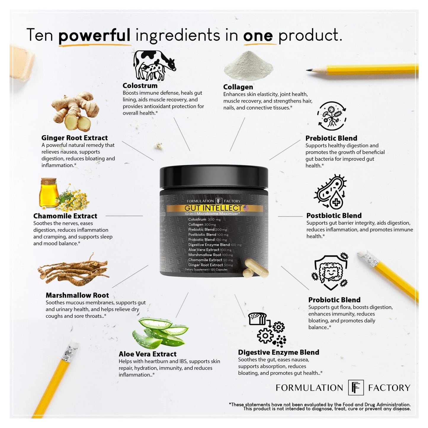 Formulation Factory Probiotics for Women & Men - Gut Intellect 10-in-1 Digestive Enzymes with Prebiotics and Postbiotics - Total Gut Health Supplement - dailyvitalstore