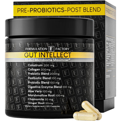 Formulation Factory Probiotics for Women & Men - Gut Intellect 10-in-1 Digestive Enzymes with Prebiotics and Postbiotics - Total Gut Health Supplement - dailyvitalstore